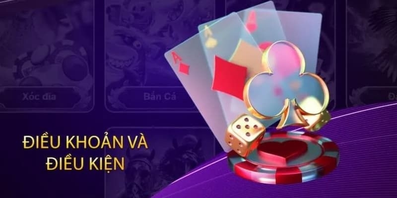 Nguyên tắc quan trọng nhất trong điều khoản và điều kiện